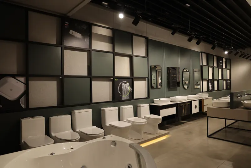 Sanitaryware — WCs, basins and accessories at BGH Bathinda